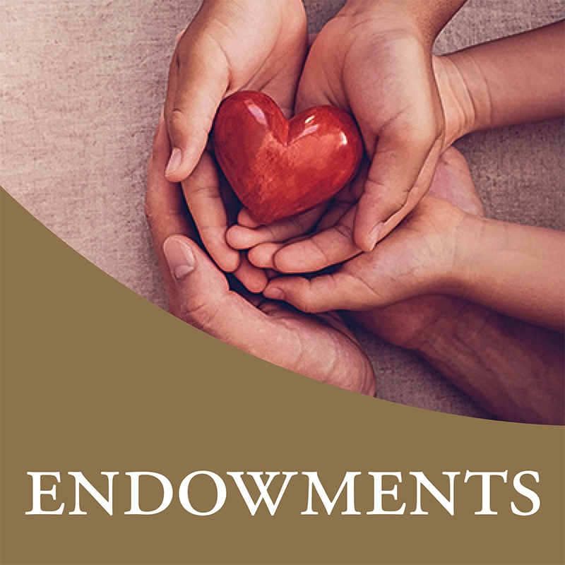 Endowments